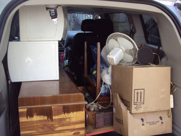 Best Moving and Downsizing Cleanouts  in Delmont, PA